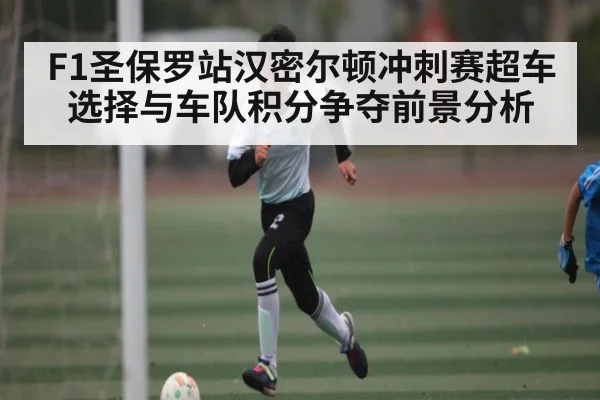F1圣保罗站汉密尔顿冲刺赛超车选择与车队积分争夺前景分析